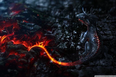 Salamander Artwork HD Desktop Wallpapers : High Definition ...
