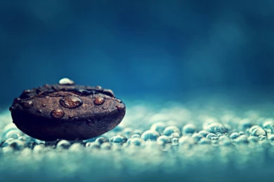 Water Drop Wallpapers