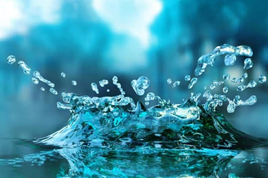 Water Drops Wallpapers