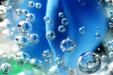 Download Wallpapers 1080x1920 Flower, Drop, Water, Immersion Sony ...