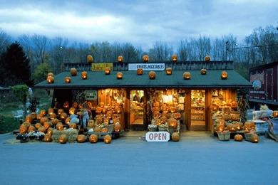 Jack O Lantern Stand   Seasonal Wallpapers Image Featuring Halloween