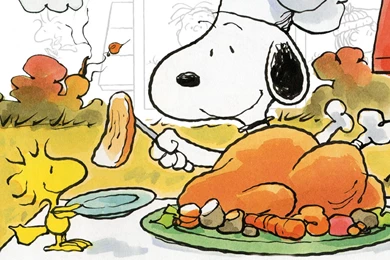 Charlie Brown Thanksgiving Images   Wallpapers HD Base