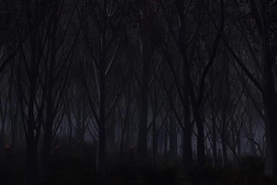 Shadeforest Creepy Hd Wallpapers   (