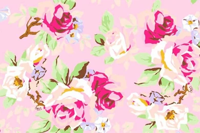 Baby Pink Floral iPhone Wallpapers