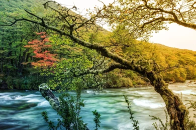 Beautiful Mountain River HD Desktop Wallpapers