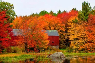 Fall Barn Wallpapers   (