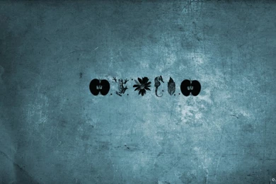 Fringe Wallpapers   Wallpapers Cave