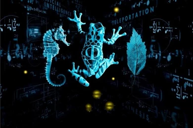 Download Fringe Fringe Wallpapers 750x600