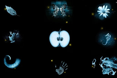 Guangyuan Piao @Insight Centre: 미드추천 (SF시리즈)   프린지 (Fringe)