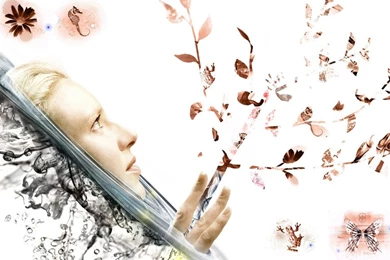 Fringe Wallpapers 1 By MooNRiSinGWorLd On DeviantArt