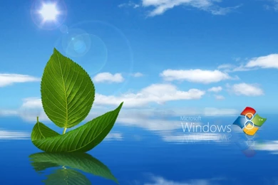 Reebok Shaq Attaq IV “Black &Amp; White” – Now Available!