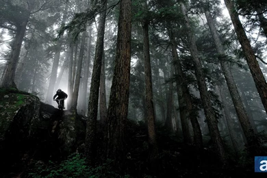 Mountain Bike Wallpapers – Whistler