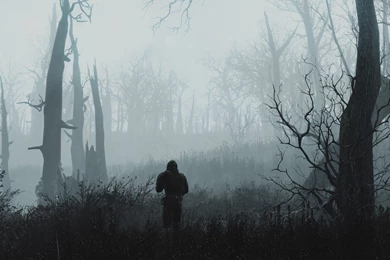 Dual Monitors, Video Games, Fallout4 Wallpapers HD / Desktop And ...