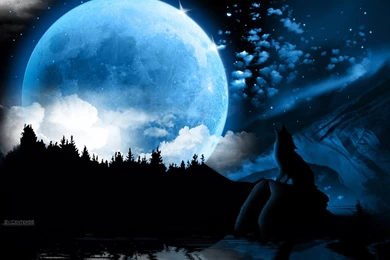 The Moon On Pinterest