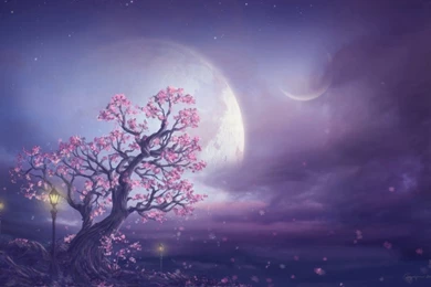 Moon Fantasy Wallpapers