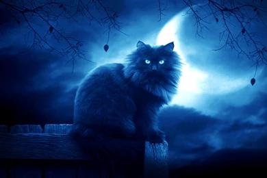 Fantasy Castle Asian Oriental Women Moon Wallpapers