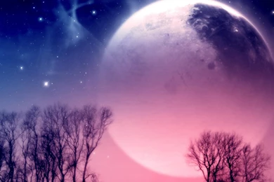 Moon Dusk Nature Space Trees Chaos Fantasy Hd Wallpapers   (