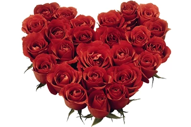 Rose With Heart Wallpapers