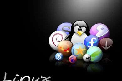 Linux Freedom Wallpapers   Linux Backgrounds And Wallpapers