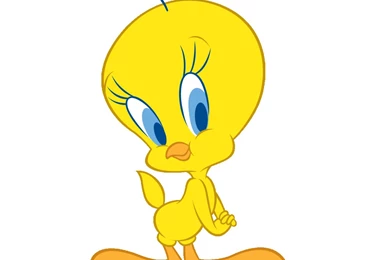 Tweety Bird Coloring Cartoon Drawing Free Wallpapers