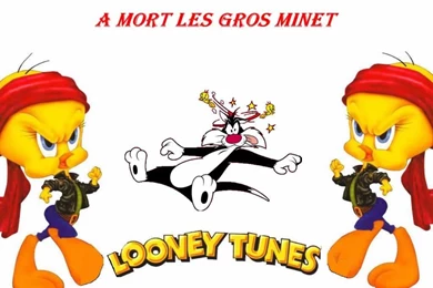 Tweety Wallpapers Looney Tunes Hd Picture, Tweety Wallpapers Looney ...