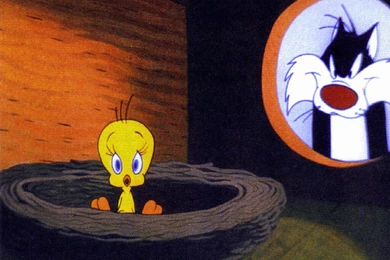 Tweety Wallpapers   Crazy Frankenstein