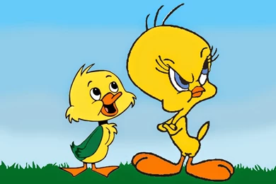 Tweety Cartoon Wallpaper Images
