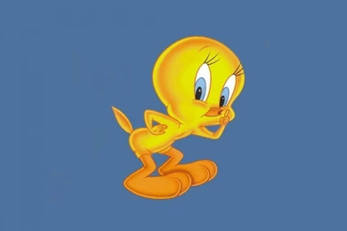Xitefun Tweety Cartoon Wallpapers For Desktop
