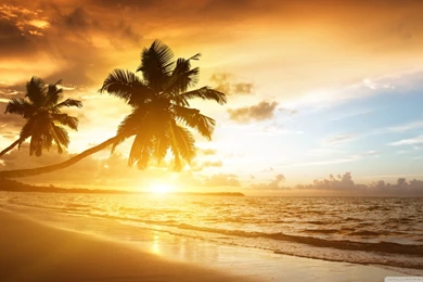 Amazing HD Desktop Wallpapers : High Definition : Fullscreen ...