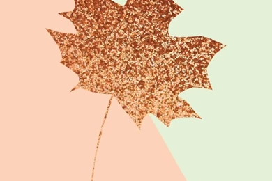 Halloween iPhone Wallpapers