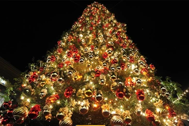 Merry Christmas Live Wallpapers   Android Apps On Google Play