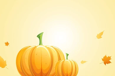 Pumpkin Backgrounds Pictures