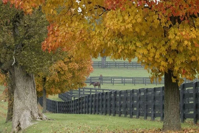 Horse Farm Backgrounds Photo By Free_2_ride
