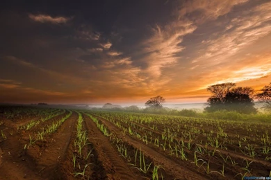 Farm Wallpapers For Desktop