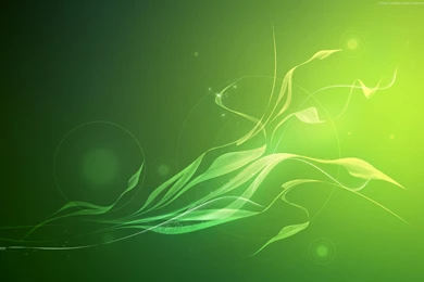Green Backgrounds
