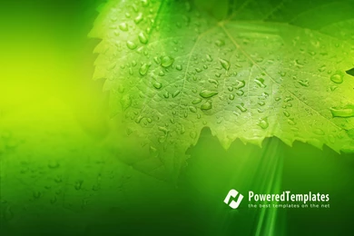 Download Free Perfect Wallpapers And Backgrounds For Your Desktop ...