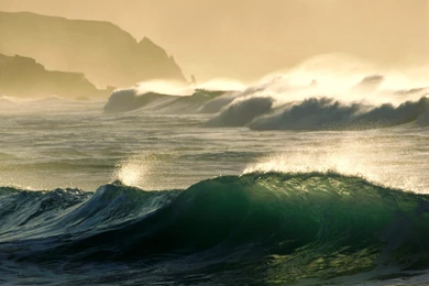 Download Roll Tide Wallpapers, Pictures, Photos And Backgrounds