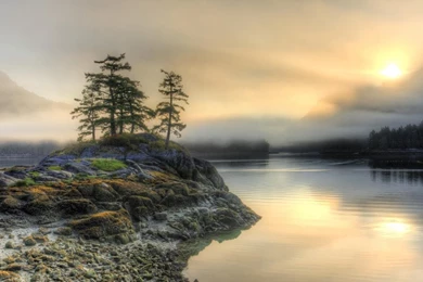 Sunset Landscapes Trees British Columbia Low Tide Wallpapers
