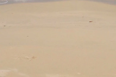 The Tide Is Out Note 4 Wallpaper.jpg