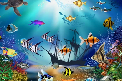 THE AQUARIUM WALLPAPER   (