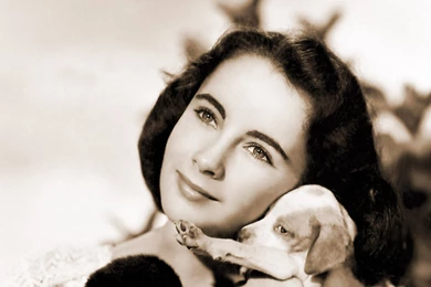 National Velvet   Elizabeth Taylor Wallpapers (20809673)   Fanpop