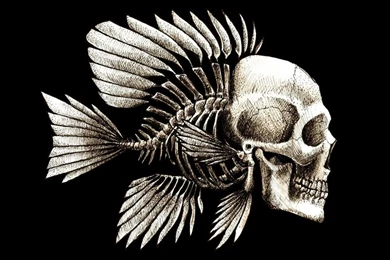 Skulls Death Dead Fish Textures Evolution Black Backgrounds ...