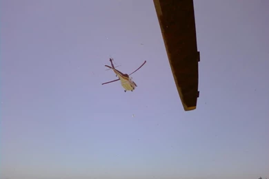 Free Phone Wallpapers Sent To Your Phone $