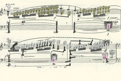 Orgasmic Overture: Ana Prvački Explores Music And Eroticism In Her ...