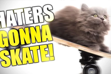 Funny Moments Part One Skate 3