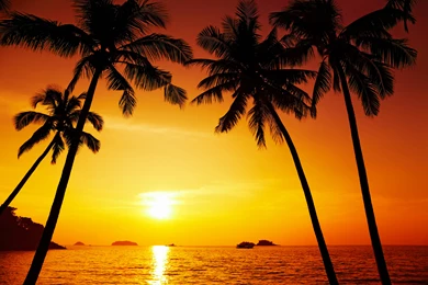 Beach_Sunset_Background.jpg?m=1432120809