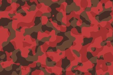 Another Silly 10th Class Thread [Archive]   Steam Users' Forums