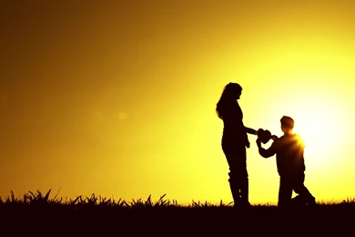 Love Propose HD Wallpapers