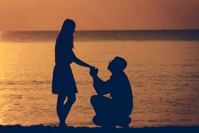 Love Propose HD Wallpapers