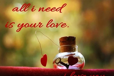 Romantic Love Wallpapers   Android Apps On Google Play
